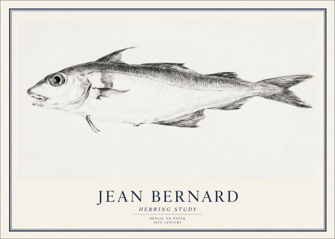 Jean Bernard Herring Study No1 - Poster
