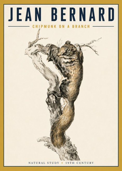 Jean Bernard Study of a Squirrel Climbing a Branch No5 - Poster