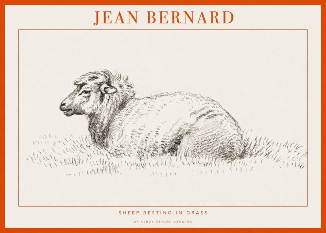 Jean Bernard Sheep Resting in Grass No1 - Poster