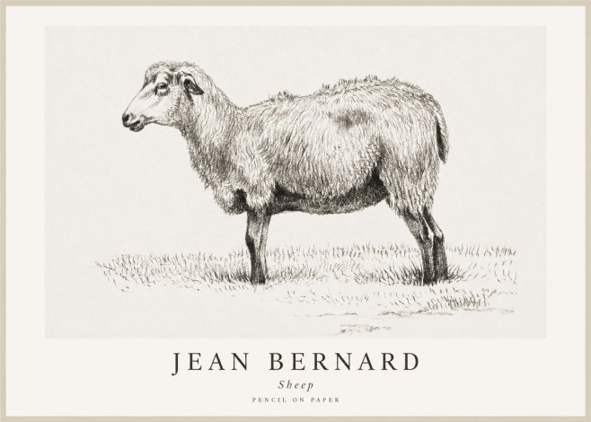 Jean Bernard Sheep No1 - Poster