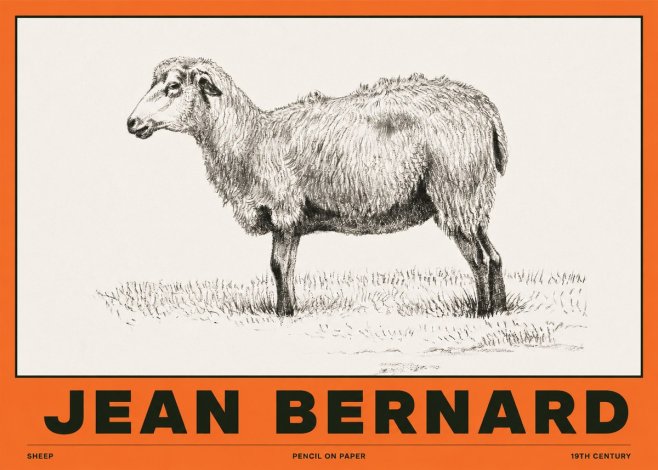 Jean Bernard Sheep No2 - Poster