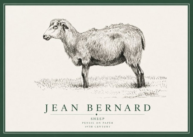 Jean Bernard Sheep No3 - Poster