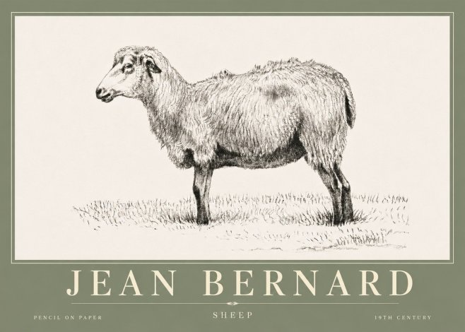 Jean Bernard Sheep No6 - Poster