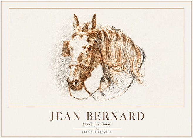 Jean Bernard Study of a Horse V No1 - Poster
