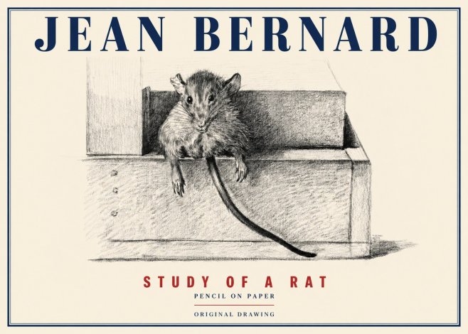 Jean Bernard Study of a Rat I No4 - Poster
