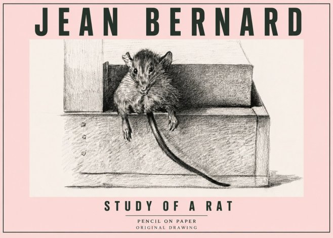 Jean Bernard Study of a Rat I No5 - Poster