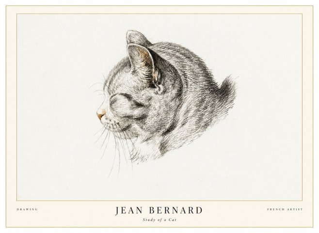 Jean Bernard Study of a Cat I No1 - Poster