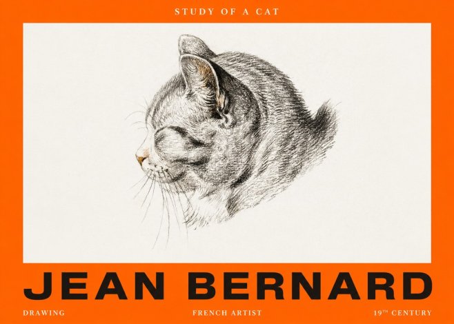 Jean Bernard Study of a Cat I No2 - Poster