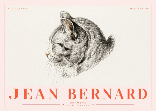 Jean Bernard Study of a Cat I No5 - Poster