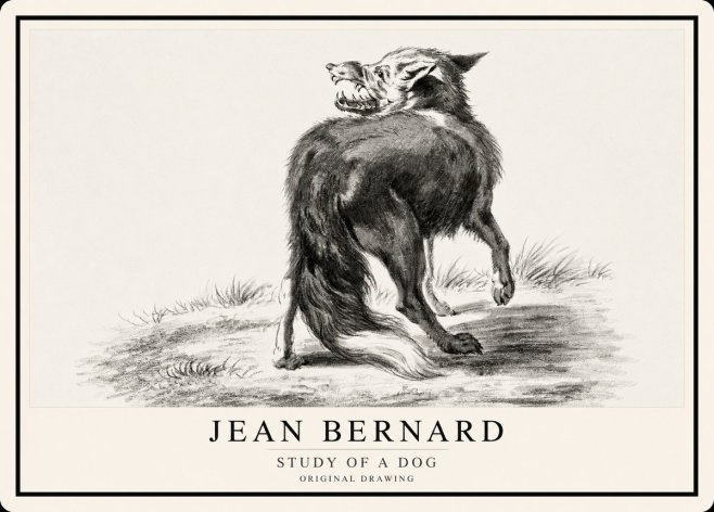 Jean Bernard Study of a Dog II No1 - Poster