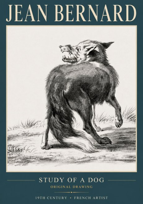 Jean Bernard Study of a Dog II No3 - Poster