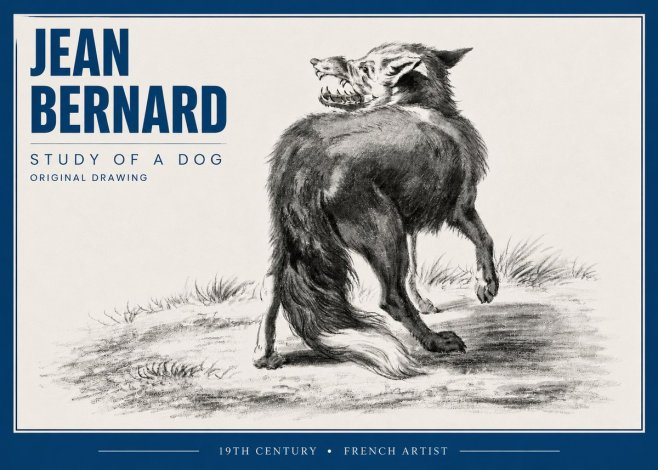 Jean Bernard Study of a Dog II No4 - Poster