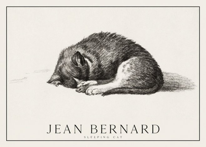 Jean Bernard Sleeping Cat III No1 - Poster