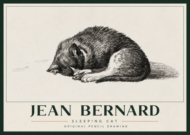 Jean Bernard Sleeping Cat III No3 - Poster