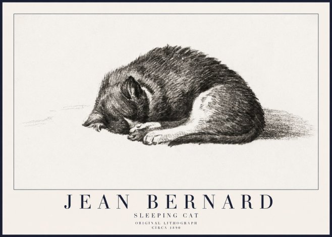 Jean Bernard Sleeping Cat III No6 - Poster