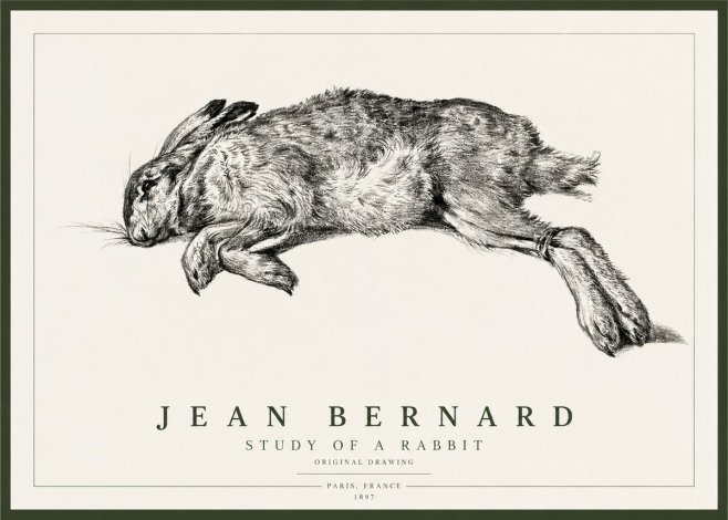 Jean Bernard Study of a Rabbit No1 - Poster