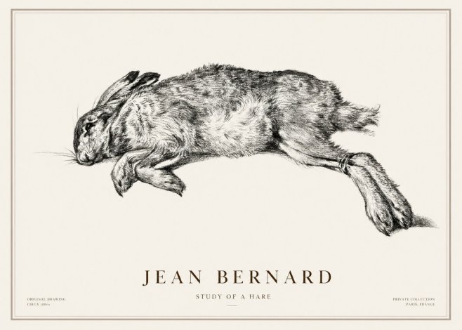 Jean Bernard Study of a Rabbit No3 - Poster