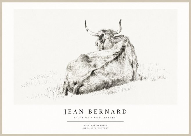 Jean Bernard Resting Bovine - Study in Graphite No2 - Poster