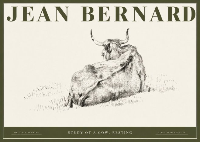 Jean Bernard Resting Bovine - Study in Graphite No3 - Poster