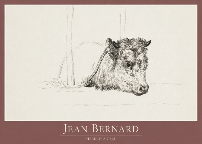 Jean Bernard Study of a Calf I No2 - Poster