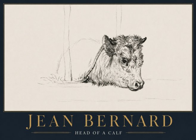 Jean Bernard Study of a Calf I No5 - Poster