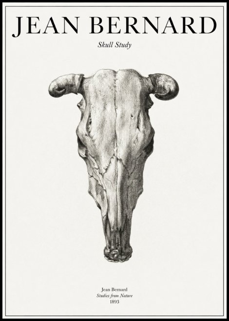 Jean Bernard Skull Study No1 - Poster