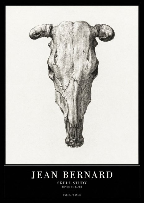 Jean Bernard Skull Study No2 - Poster