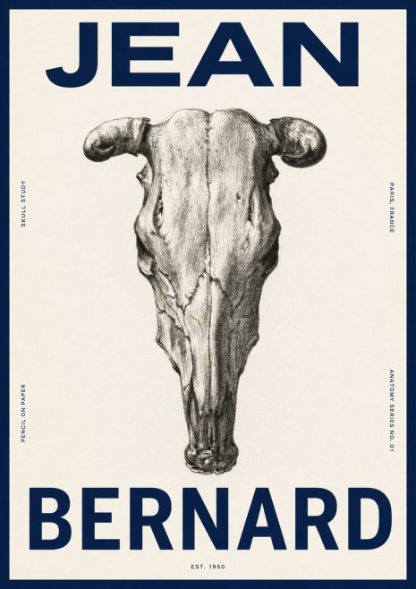 Jean Bernard Skull Study No4 - Poster