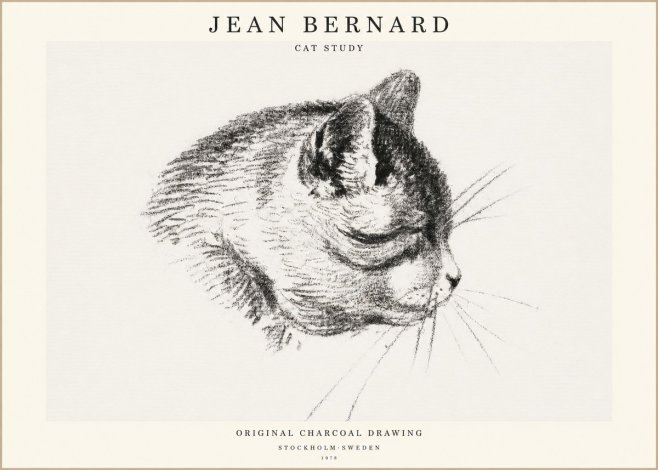 Jean Bernard Cat Study IV No1 - Poster