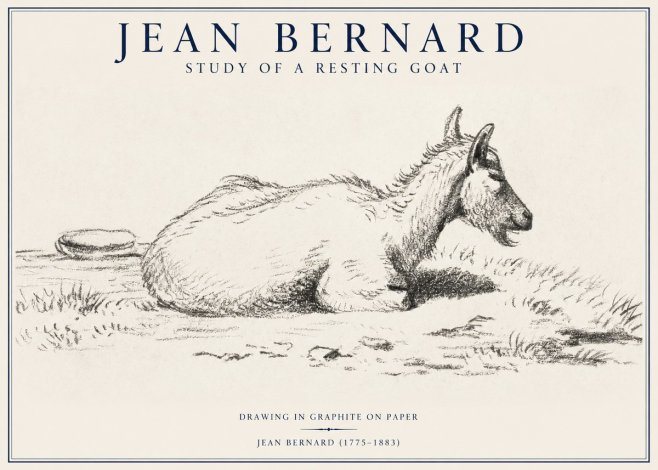 Jean Bernard Study of a Resting Goat No1 - Poster