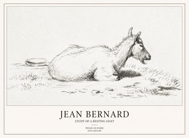 Jean Bernard Study of a Resting Goat No2 - Poster