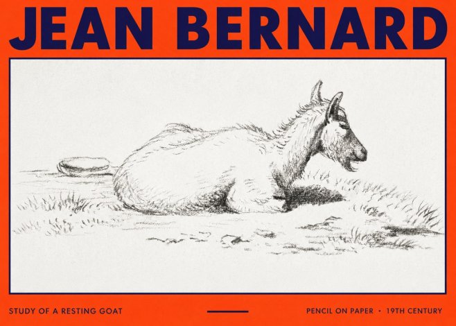 Jean Bernard Study of a Resting Goat No3 - Poster