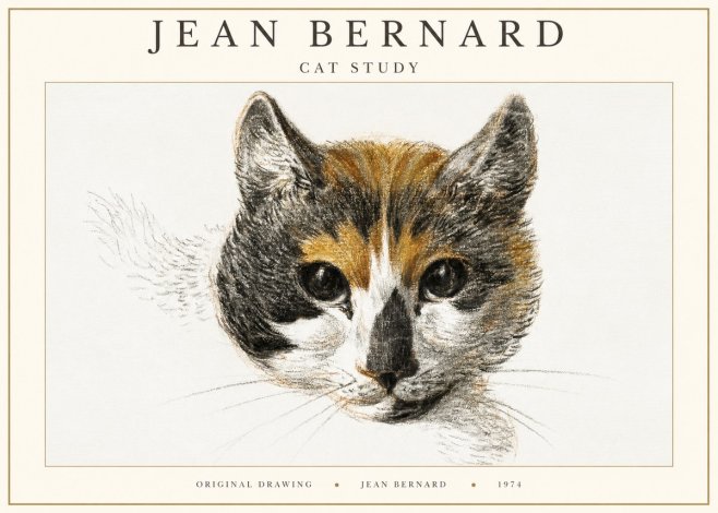 Jean Bernard Study of a Cat II No3 - Poster