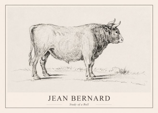 Jean Bernard Study of a Bull I No1 - Poster