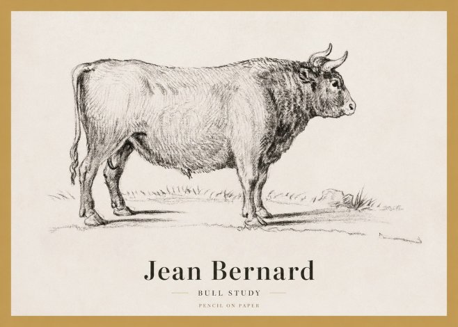 Jean Bernard Study of a Bull I No4 - Poster