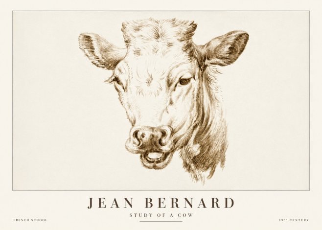 Jean Bernard Study of a Cow IV No2 - Poster