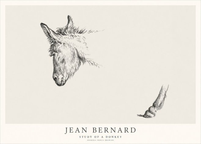 Jean Bernard Study of a Donkey II No1 - Poster