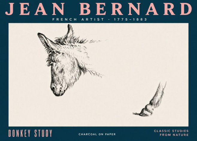 Jean Bernard Study of a Donkey II No5 - Poster
