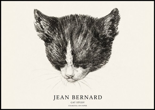 Jean Bernard Cat Study V No1 - Poster