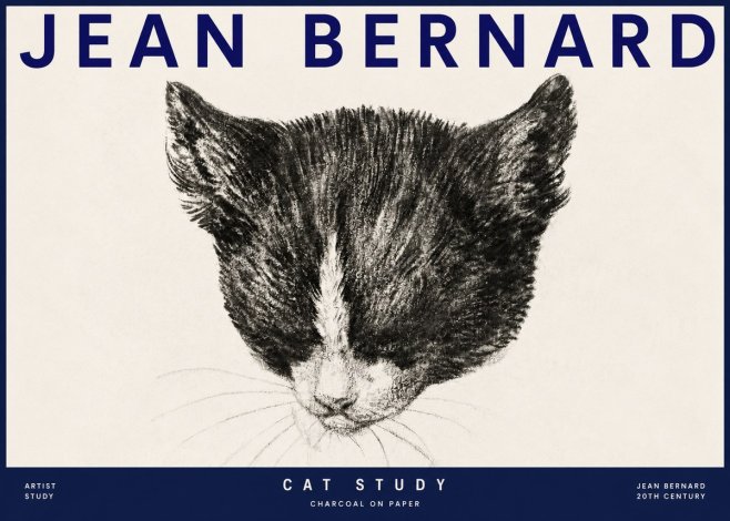 Jean Bernard Cat Study V No3 - Poster