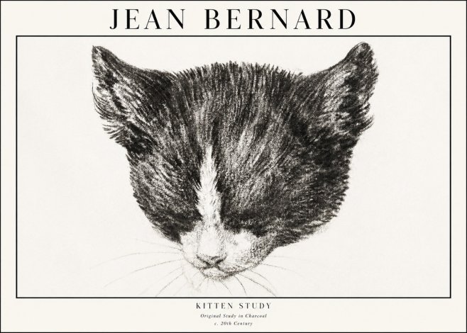 Jean Bernard Cat Study V No4 - Poster