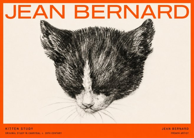 Jean Bernard Cat Study V No5 - Poster
