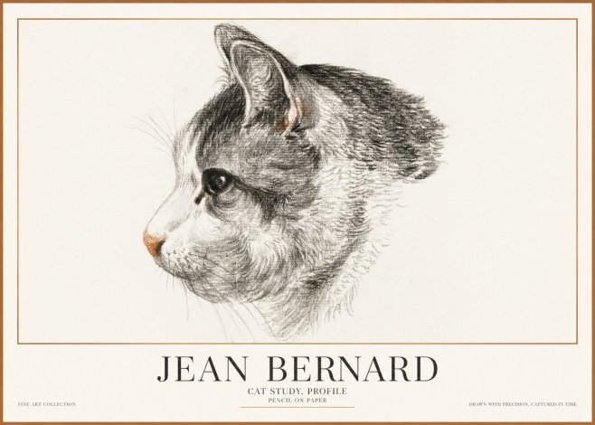 Jean Bernard Cat Study, Profile No1 - Poster