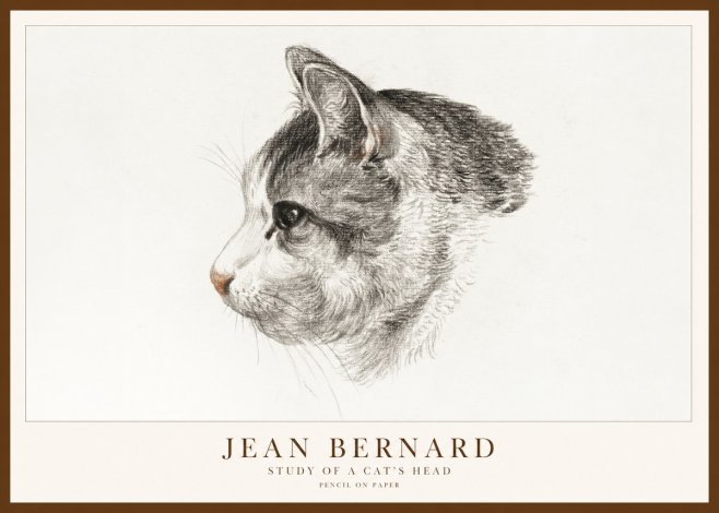 Jean Bernard Cat Study, Profile No2 - Poster