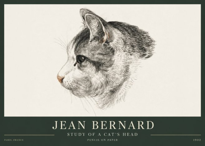 Jean Bernard Cat Study, Profile No4 - Poster