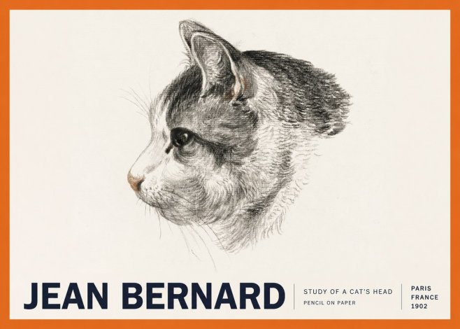Jean Bernard Cat Study, Profile No6 - Poster