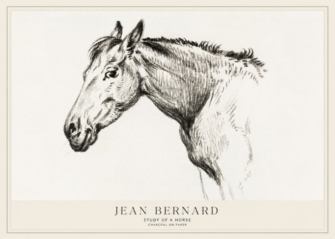 Jean Bernard Study of a Horse VI No1 - Poster