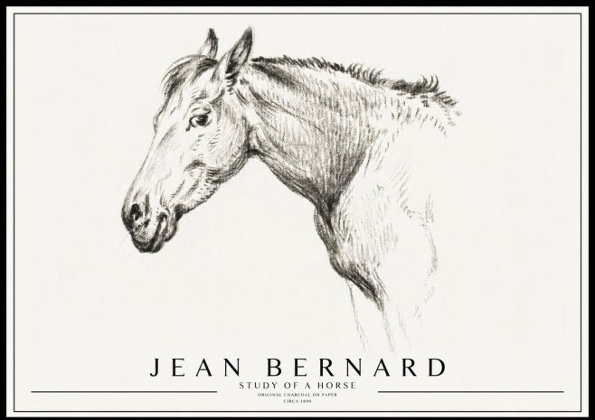 Jean Bernard Study of a Horse VI No3 - Poster