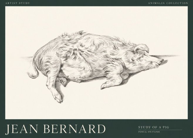 Jean Bernard Study of a Pig I No1 - Poster