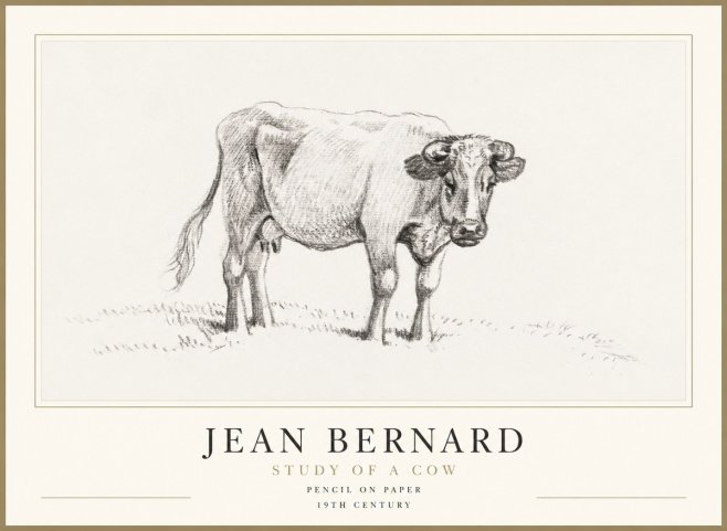 Jean Bernard Study of a Cow V No1 - Poster